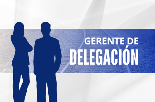 Gerente de delegación